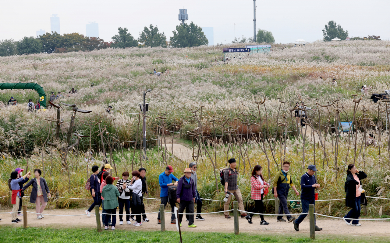 16일 오전 제21회 서울억새축제가 열리고 있는 서울 마포구 하늘공원에서 시민들이 사진 촬영을 하고 있다. [연합]