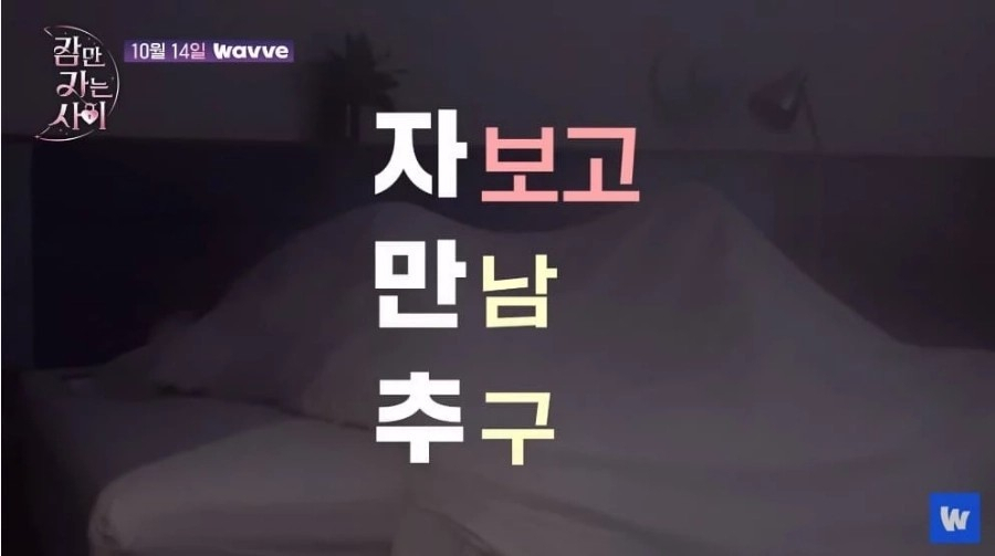웨이브 오리지널 '잠만 자는 사이'. 혼숙이라는 소재로 선정성 논란이 일었다. [웨이브]