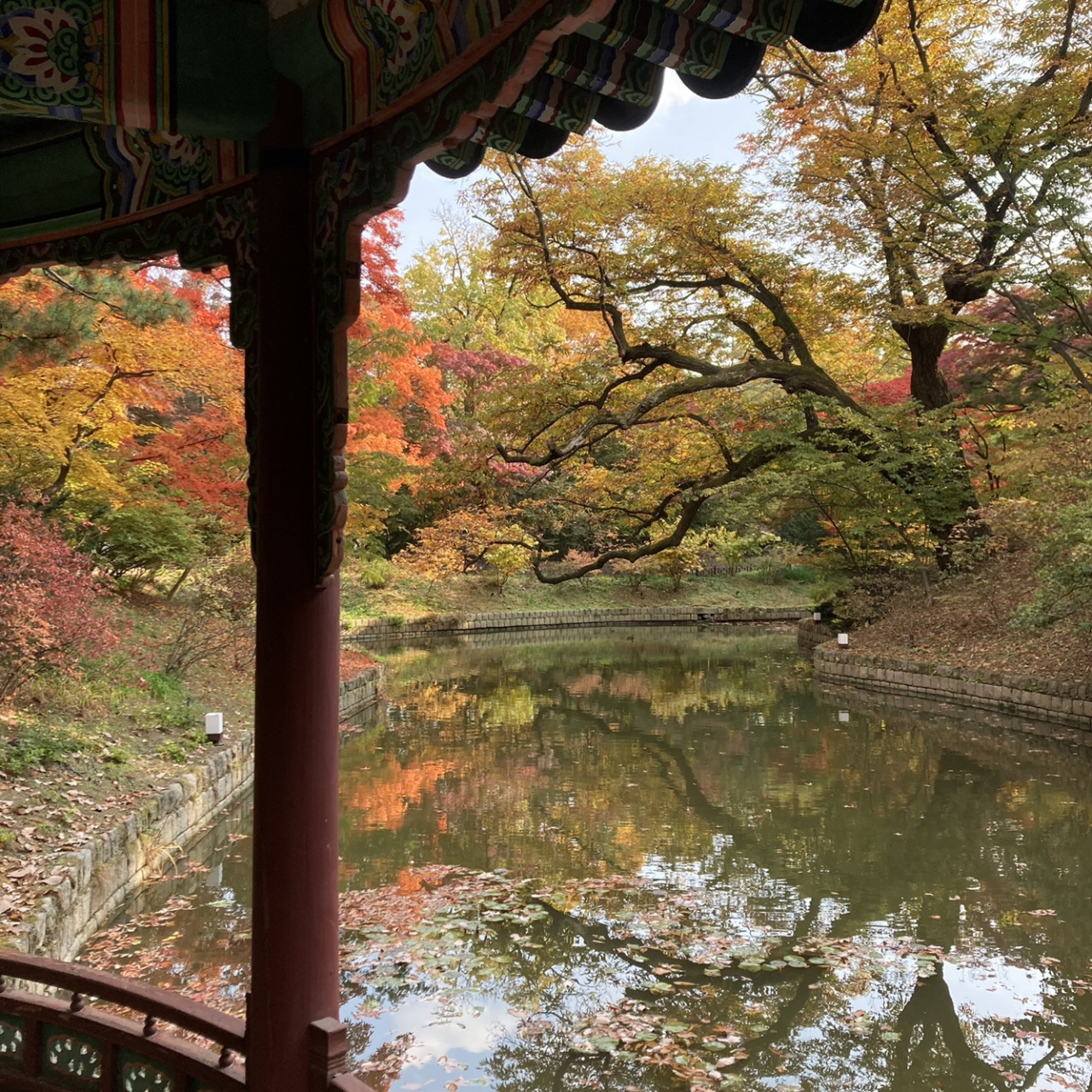 창덕궁 관람정