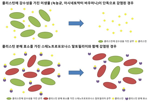 콜리스틴 분해효소에 의한 미생물 군집 수준에서의 콜리스틴 집단 내성.[중앙대학교 제공]