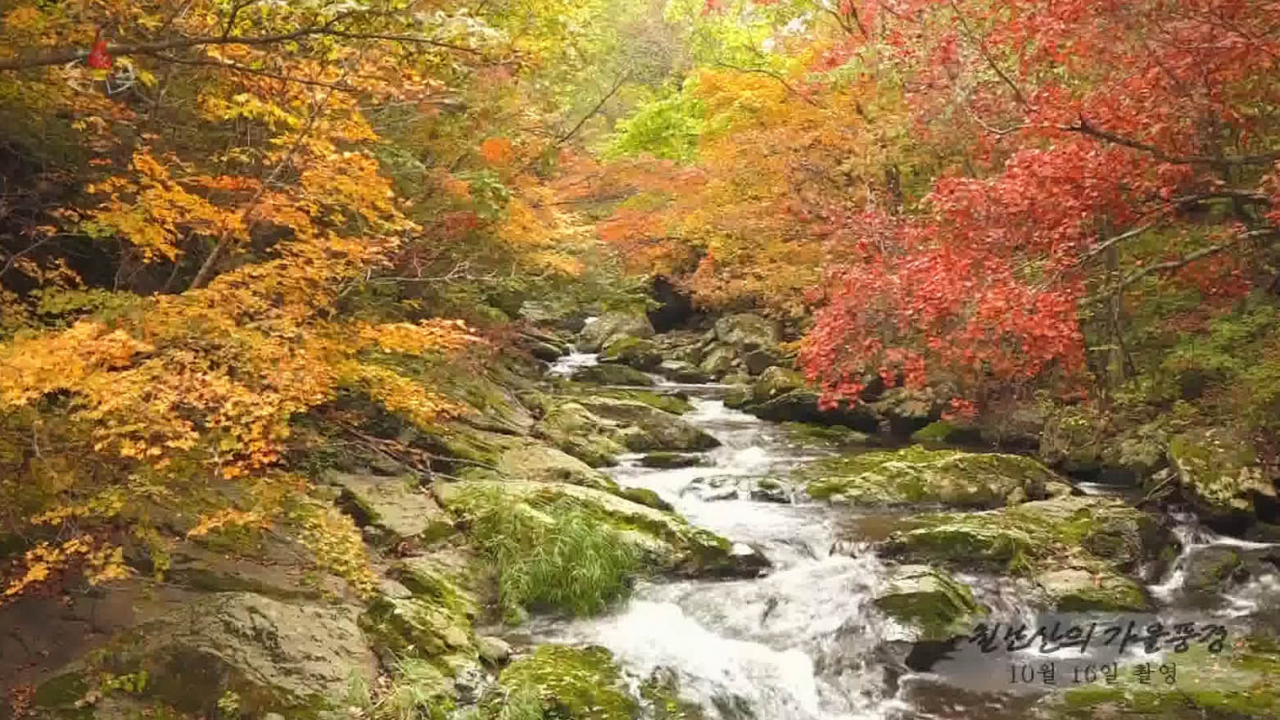 In this picture covered by North Korea's Korean Central News Agency on Sunday, fall foliage is at its peak in Chilbosan mountain in North Hamgyong Province, northeastern North Korea. (Yonhap)