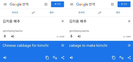 구글 번역기에서 ‘김치용 배추’ 시정 전(왼쪽)과 시정 후 결과. [구글번역기]