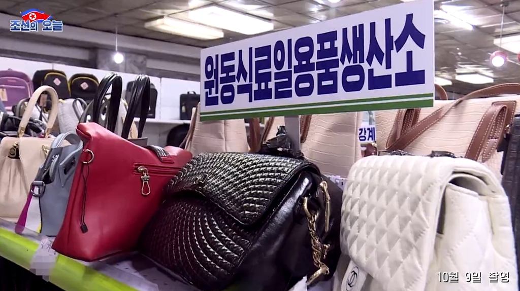 맨 우측 샤넬 로고가 박힌 가방 [조선의 오늘 캡처]