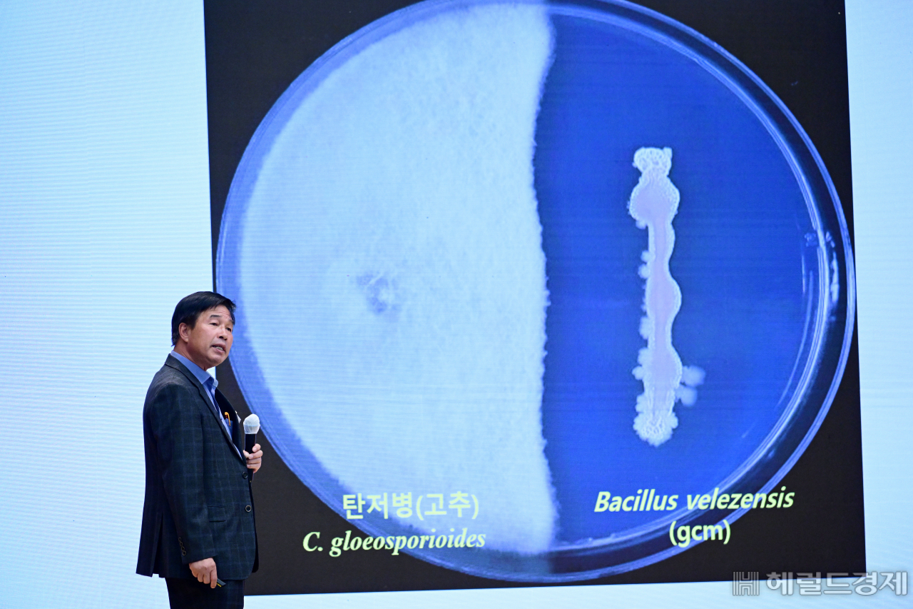김길용 전남대 농생명화학과 교수가 20일 광주 김대중컨벤션센터 열린 제1회 한국농업미래혁신포럼에서 ‘기능성 미생물(GCM)을 이용한 작물의 병해충 방제 및 생산성 증대’에 대해 주제 발표하고 있다. 광주=박해묵 기자