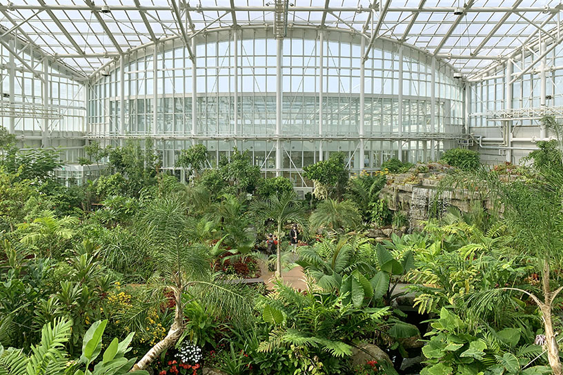 (Sejong National Arboretum)