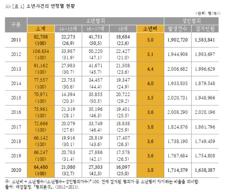 소년사건 연령범 현황. [인권연대 제공]