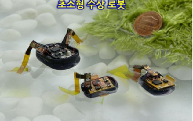 제작된 초소형 수상 로봇.[고려대학교 제공]
