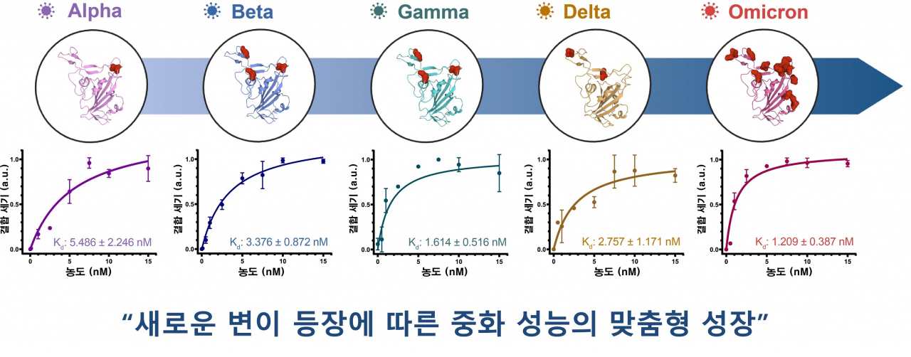 현재까지 보고된 주요 변이 코로나바이러스(위), 각각의 변이에 대한 하이브리드 중화제의 성능 평가 결과(아래).[포스텍 제공]