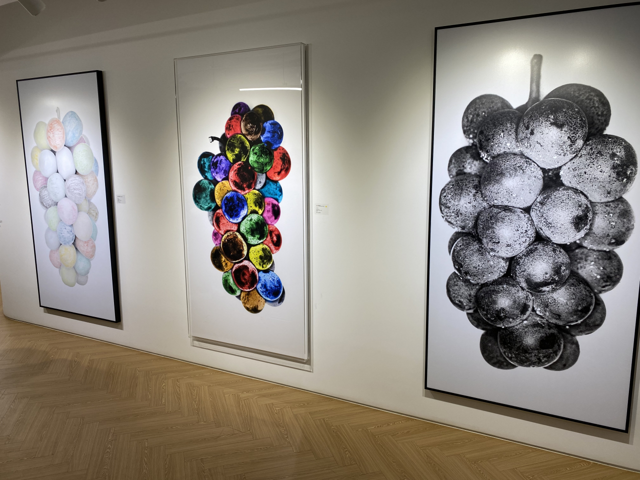 Display of grape-themed works by photographer and painter Koh Yeo-myoung at exhibition "Midnightluv" (Lim Jae-seong/The Korea Herald)