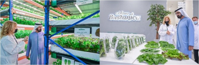 Bustanica에 방문한 두바이 통치자 셰이크 모하메드 알 막툼