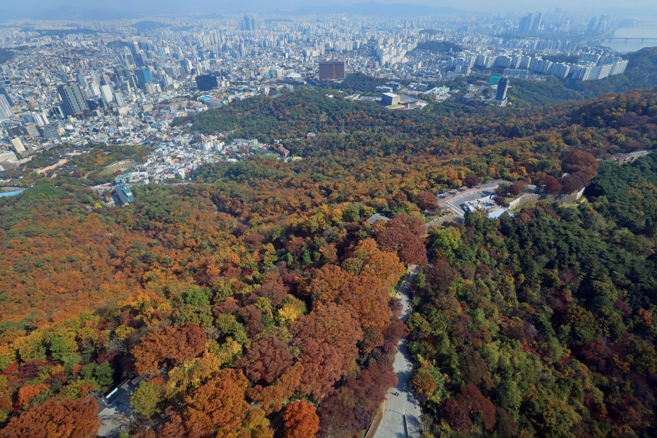 지난 27일 오후 서울 중구 N서울타워에서 바라본 남산의 나무들이 단풍으로 물들어가고 있다. [연합]
