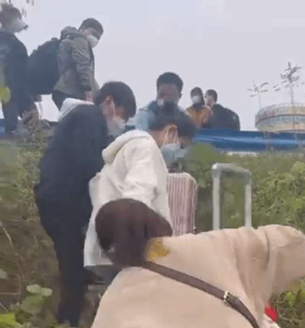 스티븐 맥도넬 BBC 중국특파원이 중국 정저우 폭스콘 공장 근로자들이 탈출 중인 모습으로 보이는 영상을 공유했다. 코로나19 폐쇄 조치에 반발한 것으로 추정된다. [트위터]
