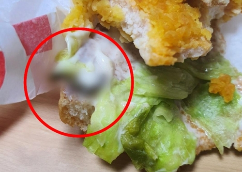 지난달 28일 경기 고양시 한 맥도날드 매장이 판매한 햄버거에서 발견된 나방류 애벌레. [연합]