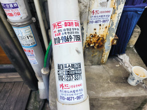 서울 시내 한 거리에 부착된 불법 대출 전단지. 김광우 기자