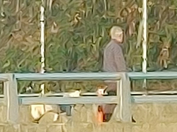 8일 오전 풍산개와 산책하는 문재인 전 대통령. [도예가 박진혁씨 트위터]