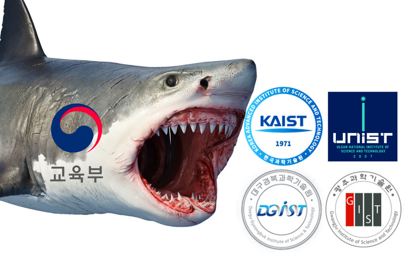 [망고보드]