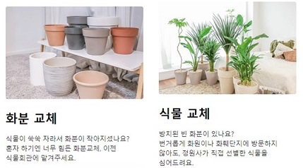 식물관리 커머스의 한 형태. [트리팜 제공]