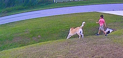 [틱톡 캡처]