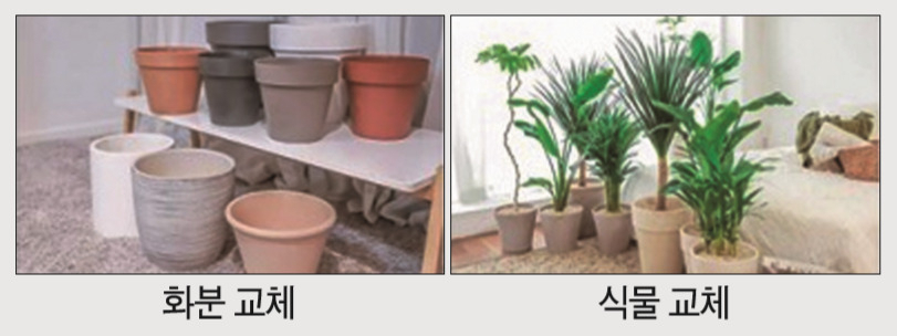 식물관리 커머스의 한 형태. [트리팜 제공]