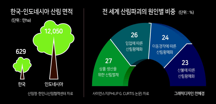 팜유 개간·산불에 인도네시아 산림 신음...이탄지 ‘검은 눈물’ [위기의 우탄, 동남아를 가다 ③]