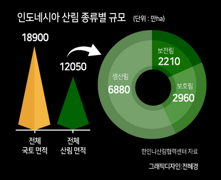 팜유 개간·산불에 인도네시아 산림 신음...이탄지 ‘검은 눈물’ [위기의 우탄, 동남아를 가다 ③]