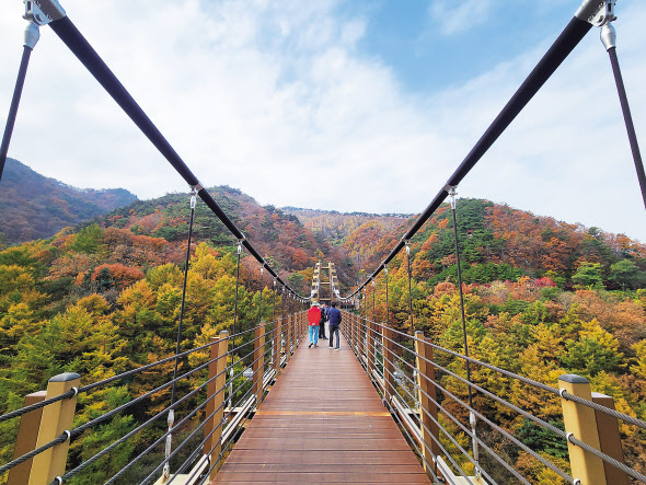 좌구산 명상구름다리