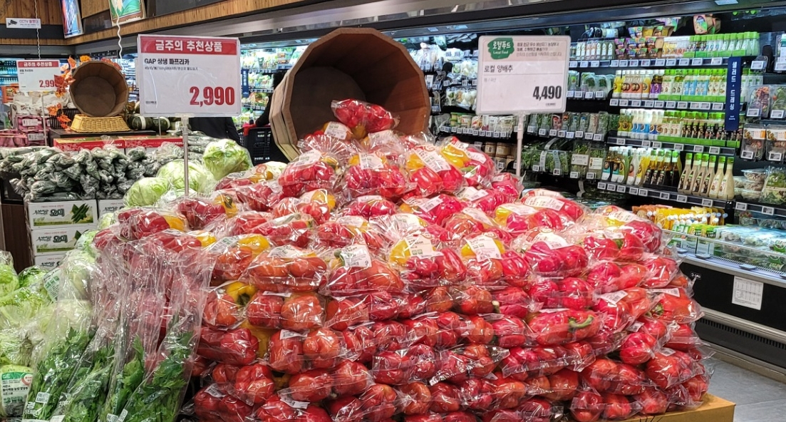 롯데마트 화명점에 진열된 상생 파프리카. [롯데마트 제공]