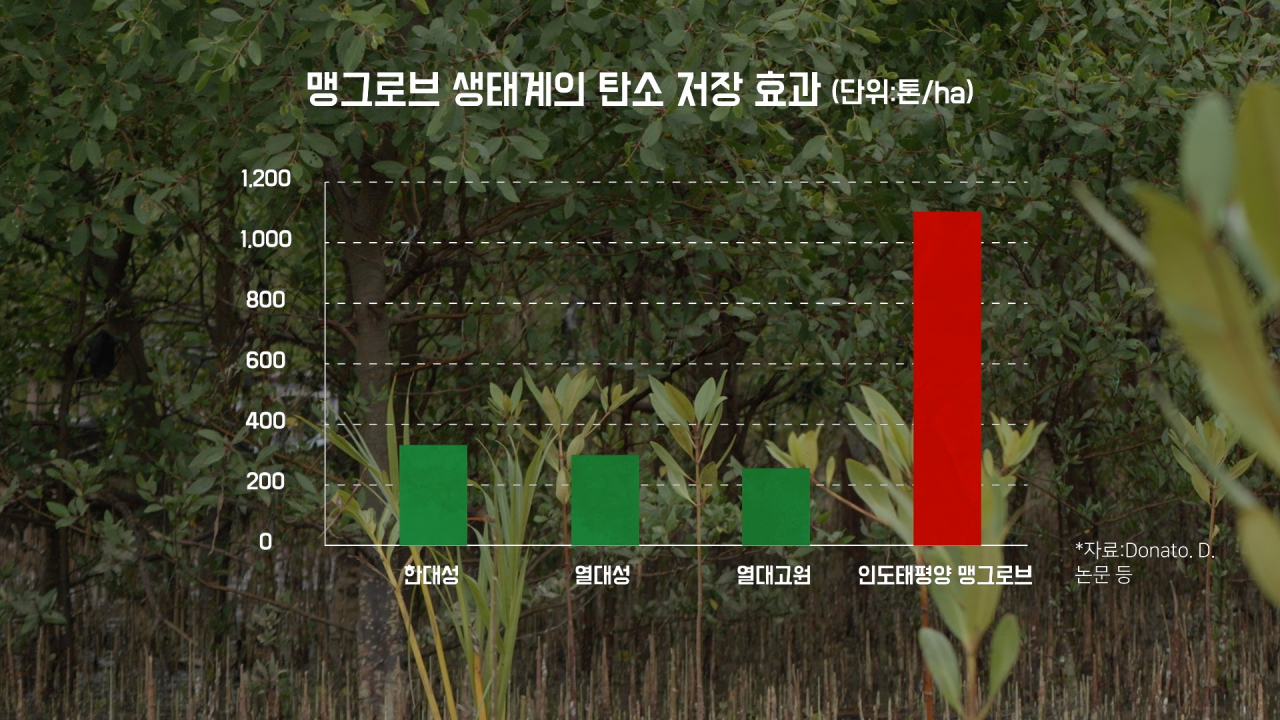 [심층 리포트] 이건 ‘논’이 아닙니다 [지구, 뭐래?]