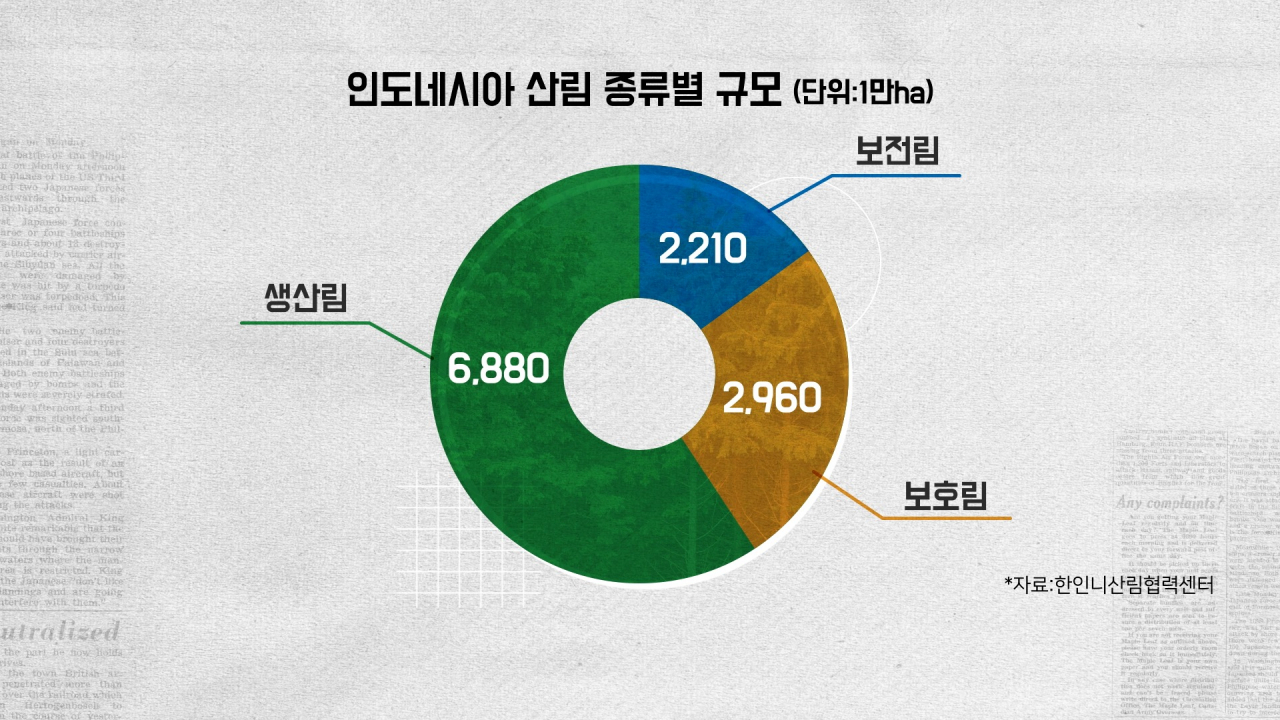 [심층 리포트] 이건 ‘논’이 아닙니다 [지구, 뭐래?]