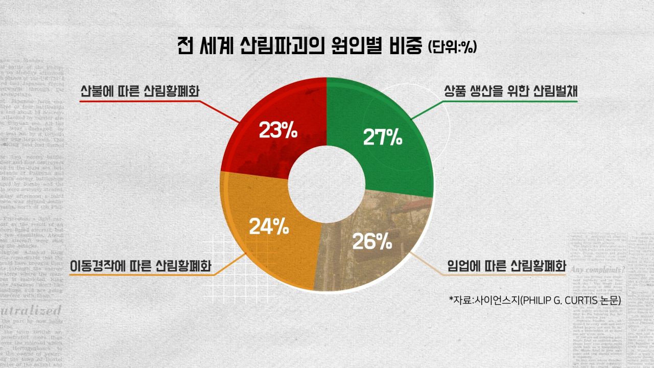 [심층 리포트] 이건 ‘논’이 아닙니다 [지구, 뭐래?]