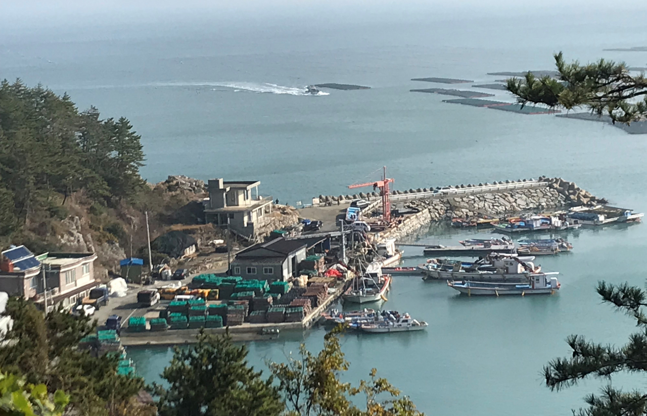 완도 신항