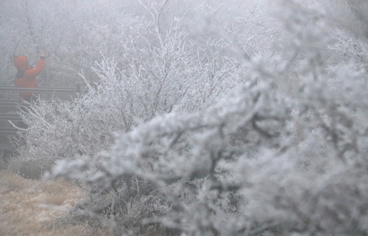 Snowflakes bloom on Hallasan on Wednesday morning after the first snow fell over Jeju Island this winter. (Yonhap)