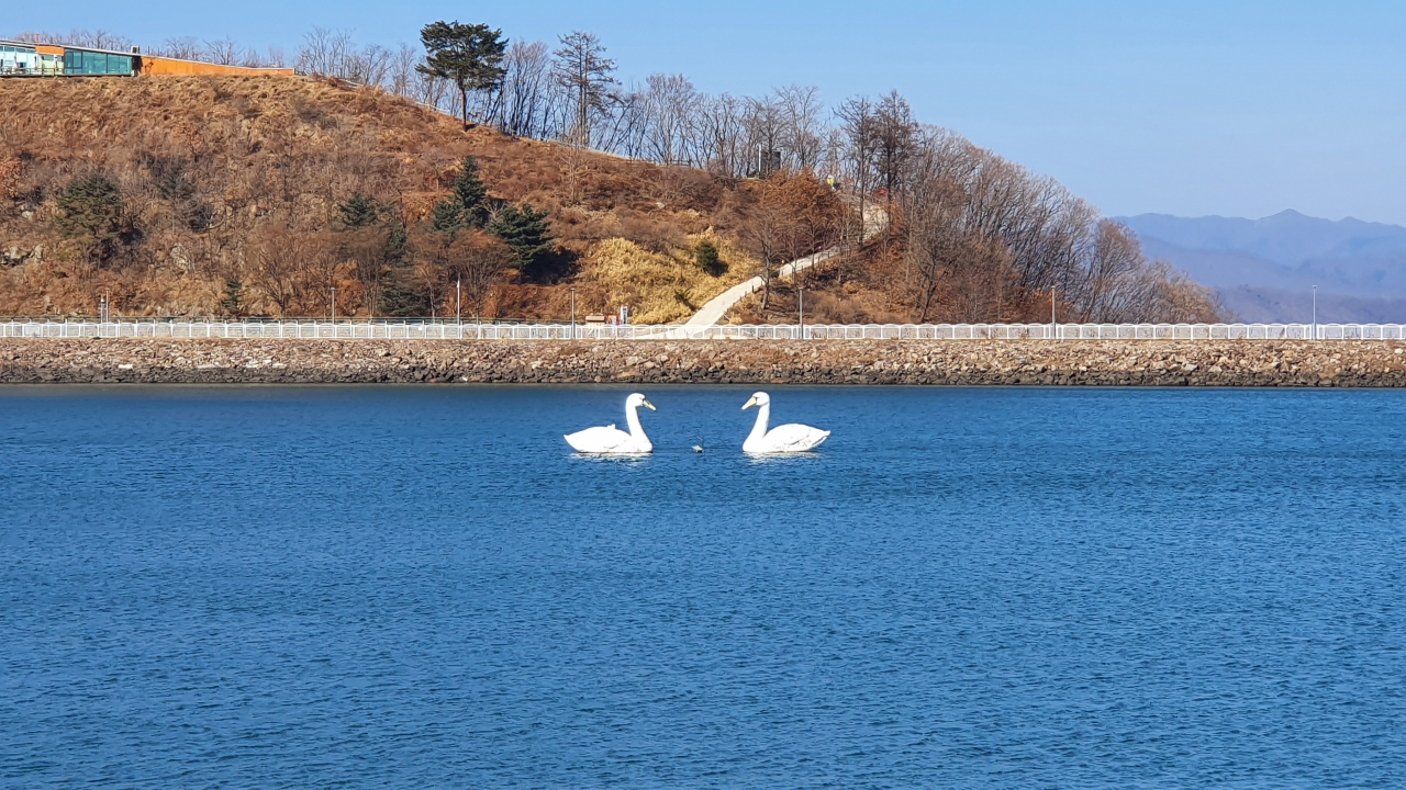 가평군 호명호수