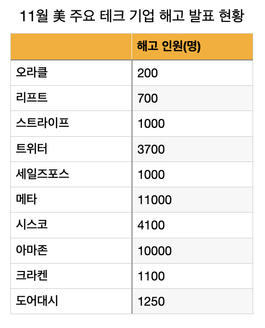 [출처 Layoffs.fyi]