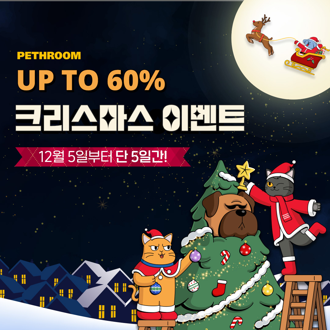 [페스룸 제공]
