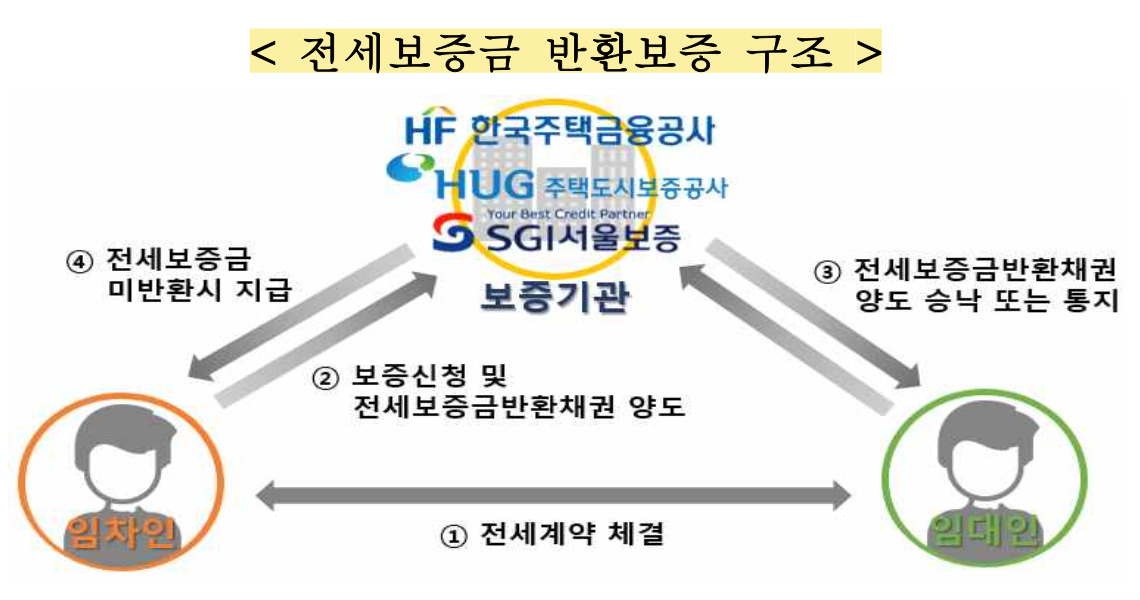 [금융감독원 자료]