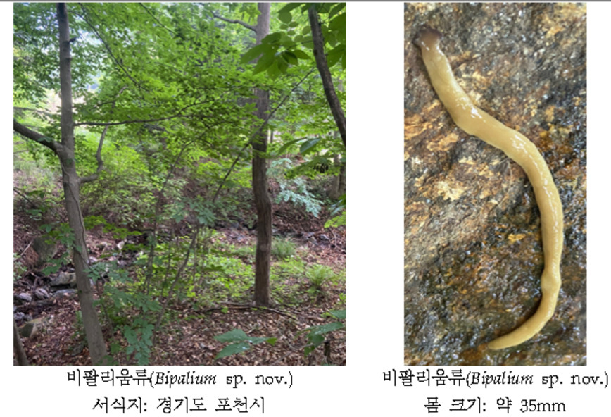 [환경부 제공]