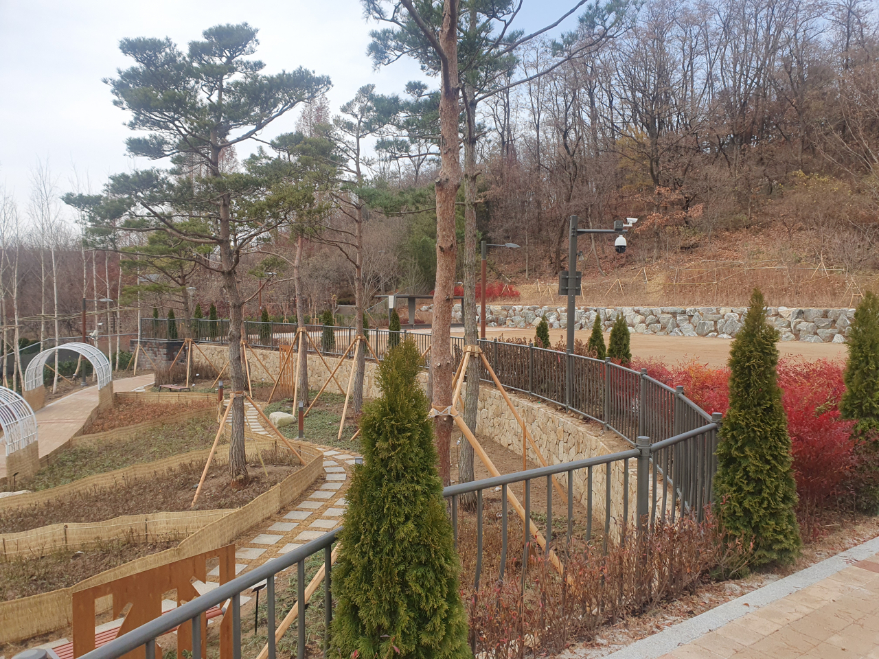 낙성대 숲속 공원 전경. [관악구 제공]