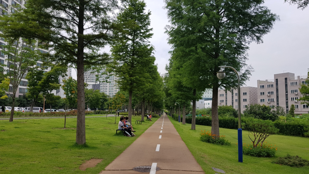 포항철길숲 전경(우현동 메타세콰이어길)
