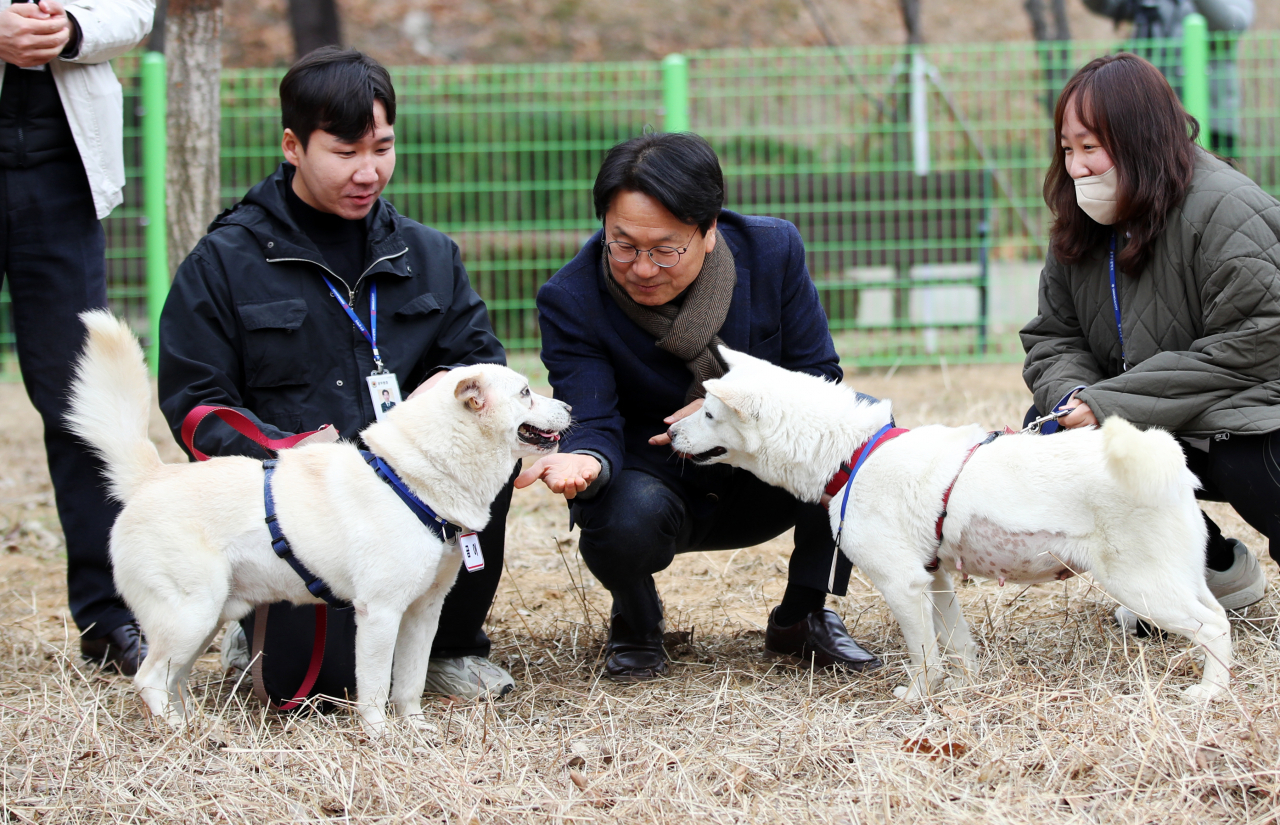 12일 오전 광주 북구 오치동물원에서 강기정 광주시장이 풍산개 곰이와 송강을 만나고 있다. 광주시는 지난 9일 문재인 전 대통령이 기르다 대통령기록관에 반납한 곰이와 송강을 대여 형식으로 넘겨받아 사육을 시작했다. 동물원 측의 실수로 이름표가 바뀐 상태다.[연합]