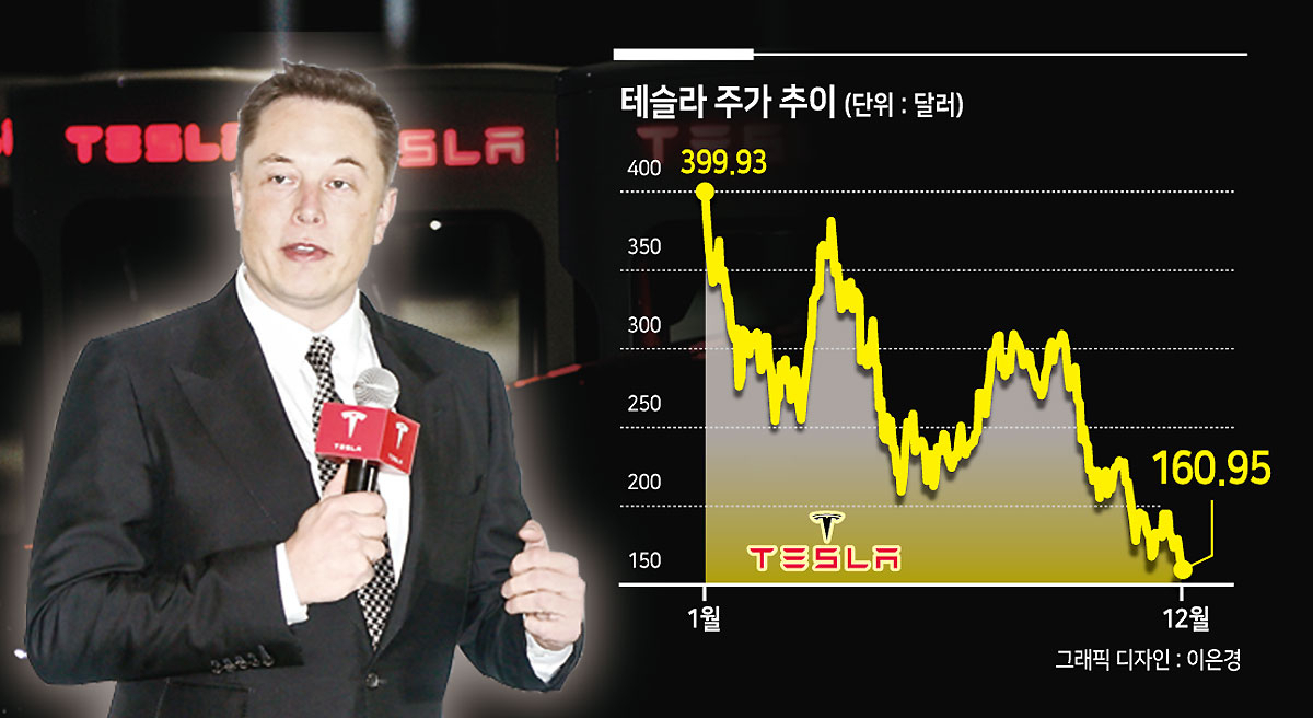 일론 머스크 테슬라 최고경영자