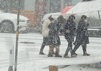 전남 영광 대설경보