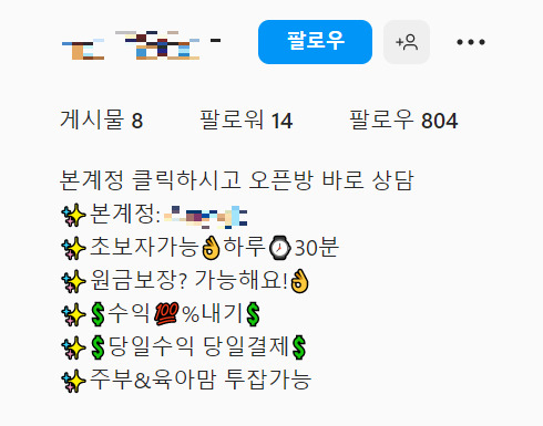 ‘주부 투잡’을 강조하며 투자를 유도하는 인스타그램 계정. [인스타그램 캡처]