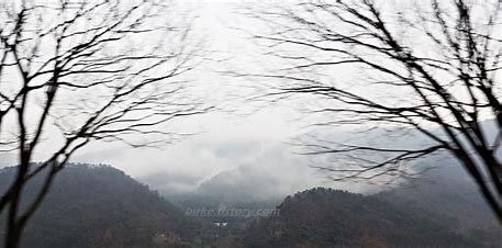 광주전남 단비