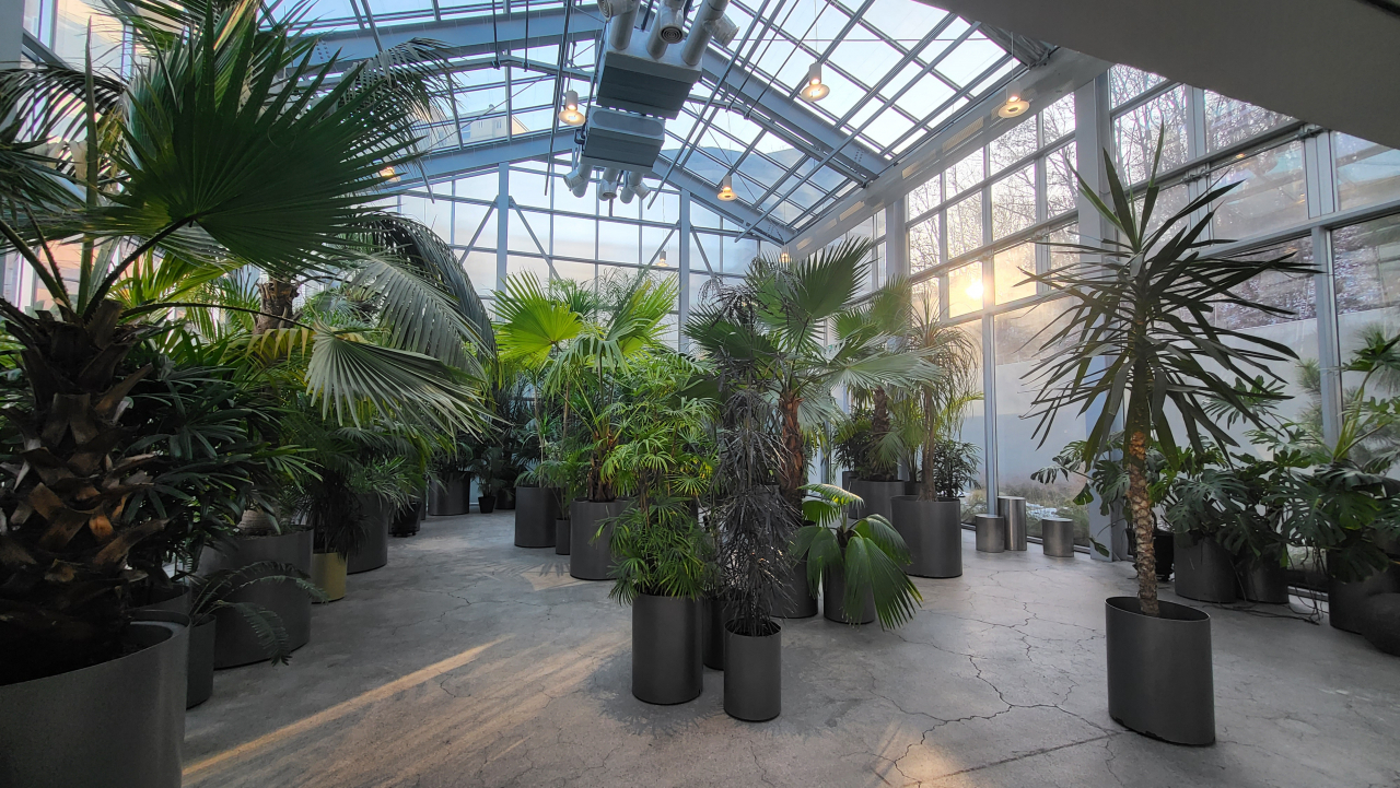 The Foliage Plants Zone at Sikmulgwan Plant House in Gangnam, southern Seoul (Kim Hae-yeon/ The Korea Herald)