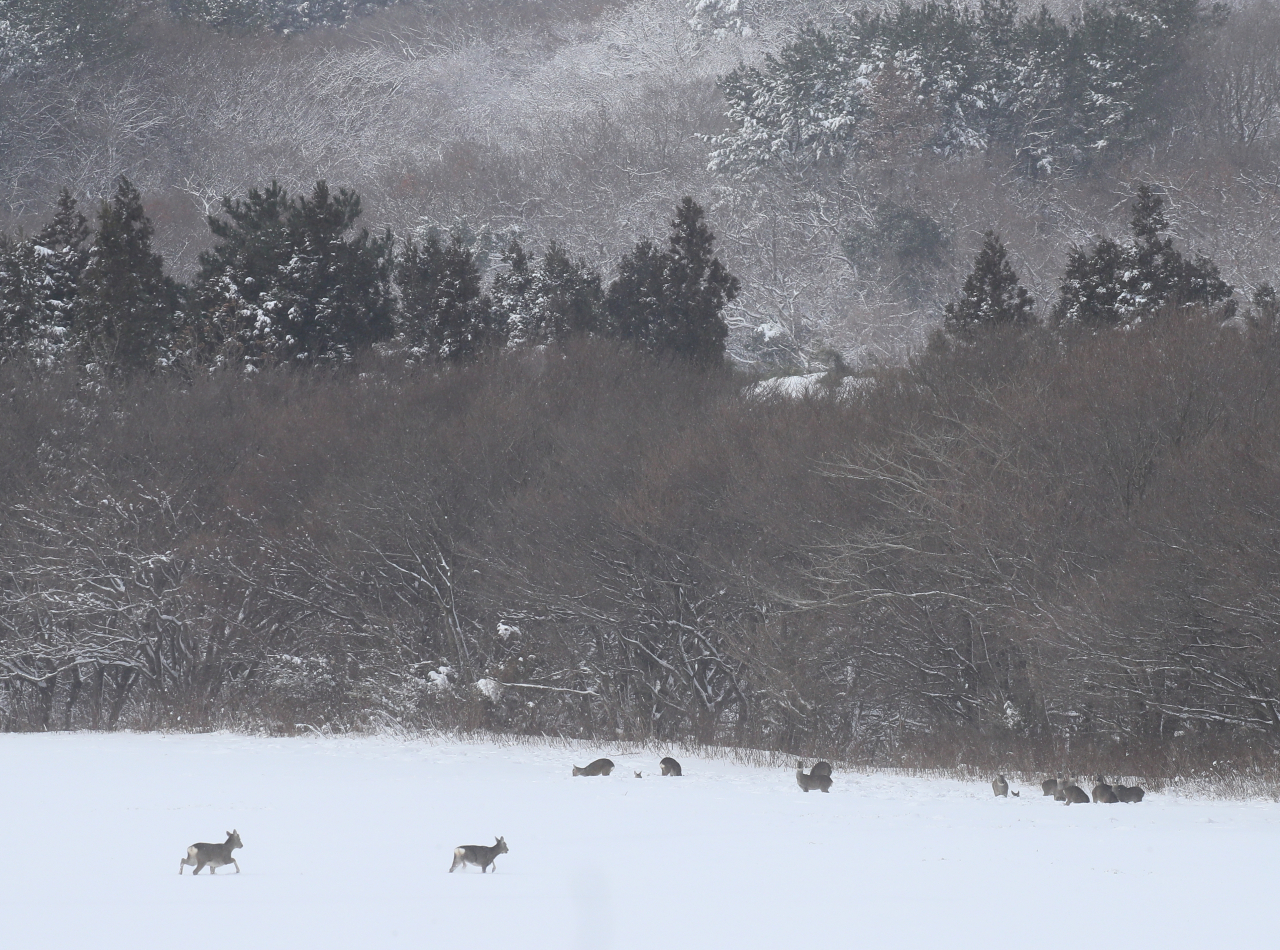 훗날 다신 못볼 ‘장면’…겨울 제주 ‘사진’ 꼭 간직하세요 [지구, 뭐래?]