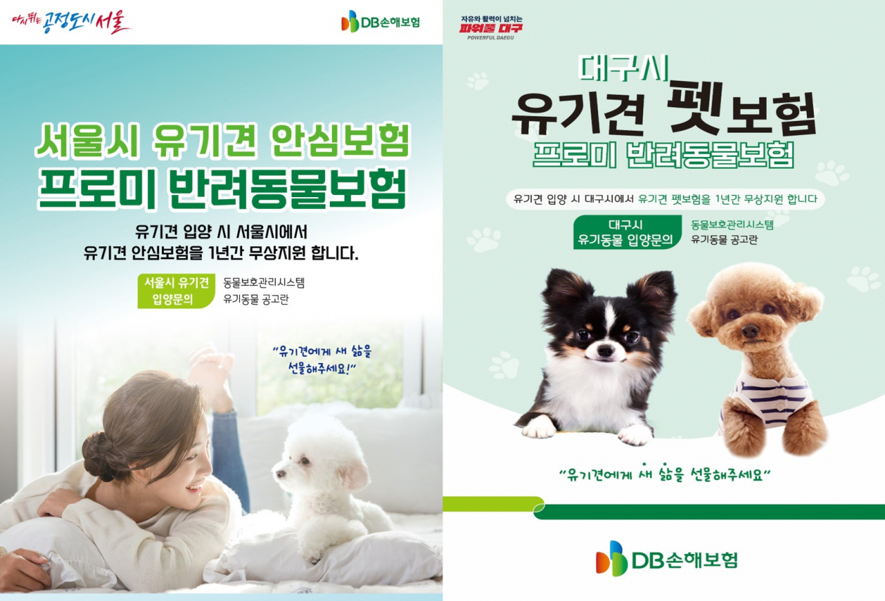 [DB손해보험 제공]