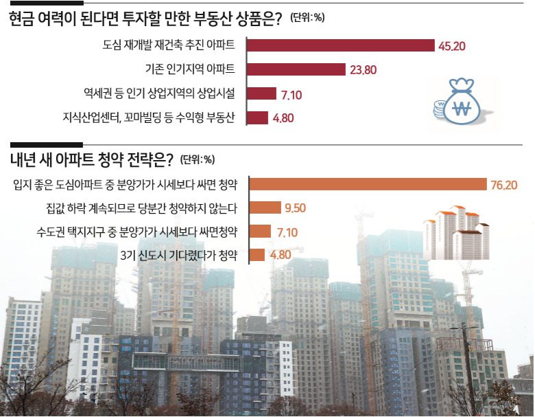 내년도 투자 최우선 유망 상품으로 정부의 규제 완화 혜택이 집중되는 재개발, 재건축 아파트가 꼽혔다. 서울 서초 구 반포동 재건축 아파트 현장. [연합]