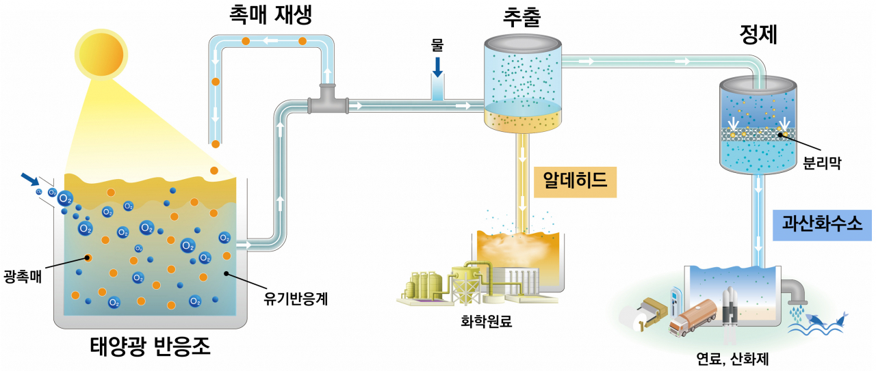 태양광 과산화수소 생산 기술 모식도.[KIST 제공]