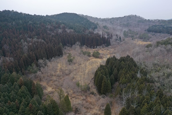 순천 와룡습지 항공 사진.